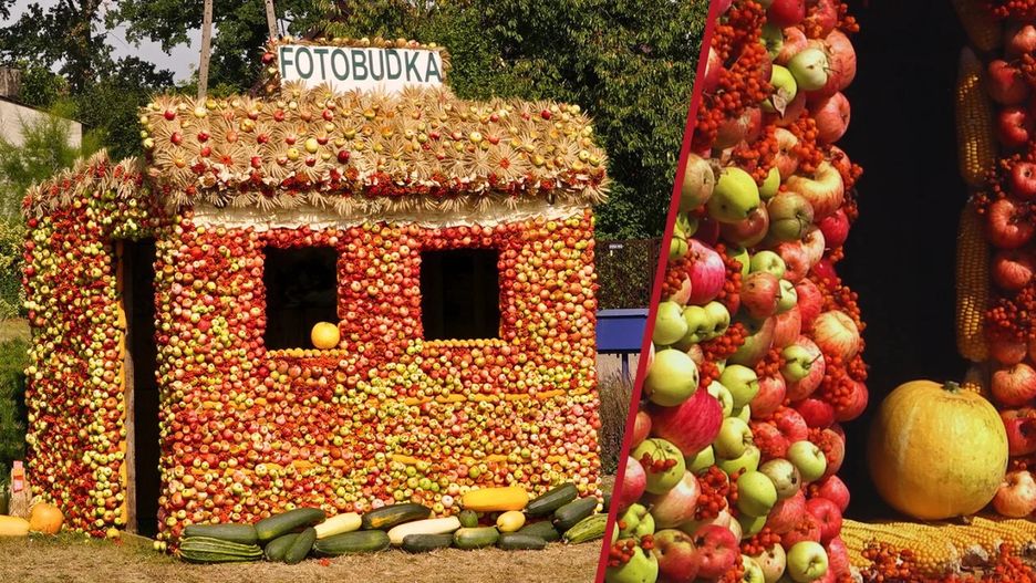 Fotobudka z jabłek na dożynskach