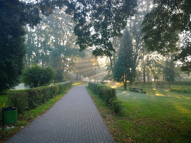Nokia Lumia 1020 - smartfon na megapikselowych sterydach [test aparatu] 13