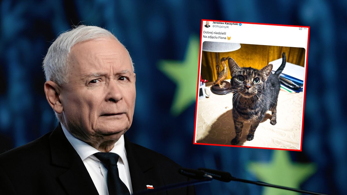 Kot Jarosława Kaczyńskiego jest zazdrosny?
