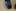 190721