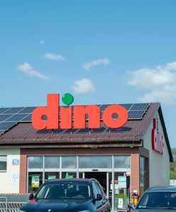 Dino idzie w ślady Biedronki i Lidla. Sieć szykuje dużą niespodziankę