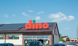 Dino idzie w ślady Biedronki i Lidla. Sieć szykuje dużą niespodziankę
