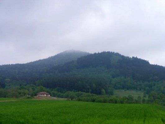 Obraz