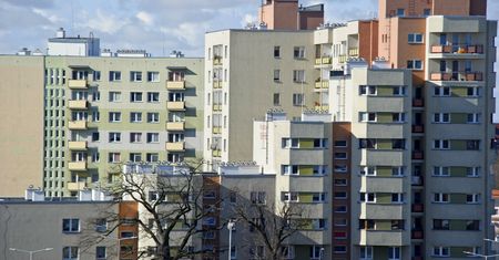 "Bez wiedzy i kwalifikacji". Szykują się rewolucyjne zmiany w spółdzielniach