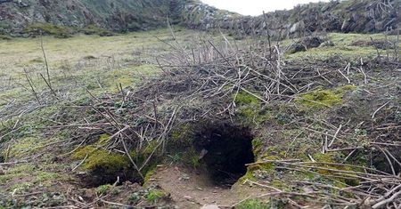 Skokholm. Niezwykłe odkrycie archeologiczne. Wykopały je króliki