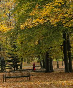 To będzie złota polska jesień? Jest najnowsza prognoza