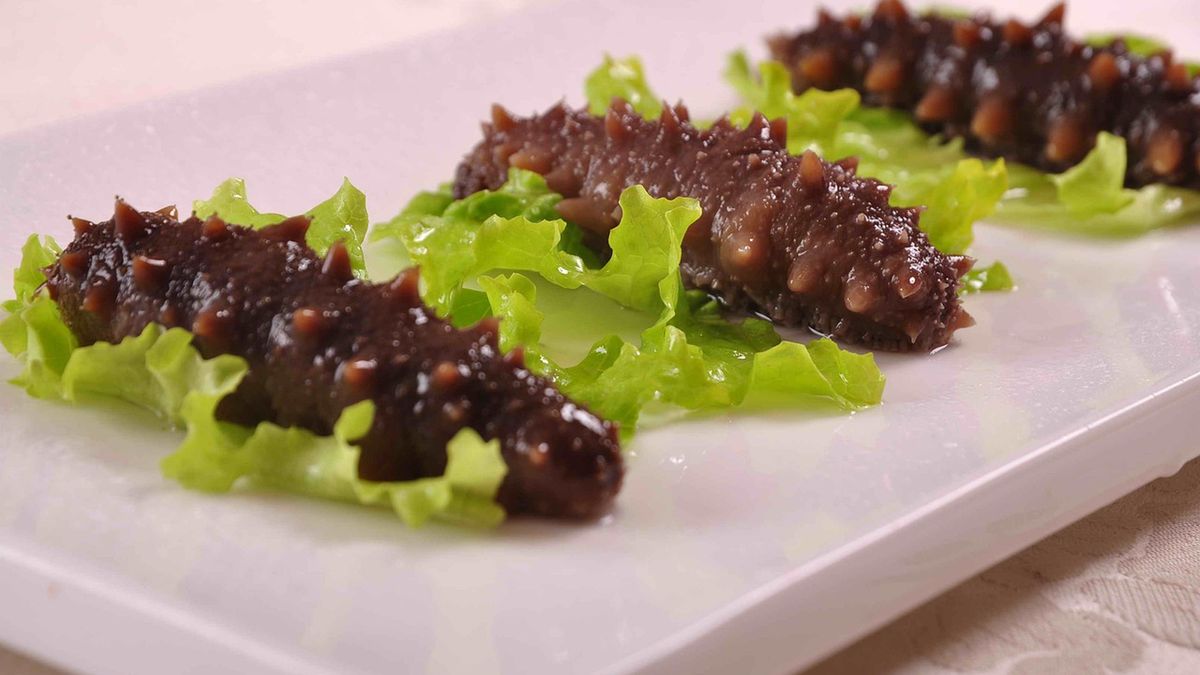 Morski ogórek to bezkręgowiec żyjący na dnie mórz i oceanów