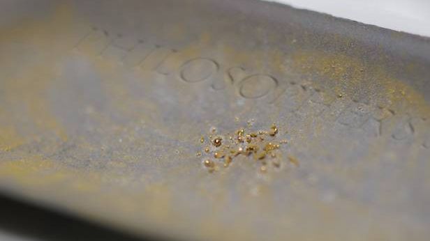 Kamień filozoficzny istnieje? Bakterie "produkują" czyste złoto 1