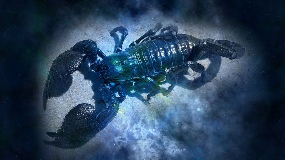 Horoskop dzienny: Rak