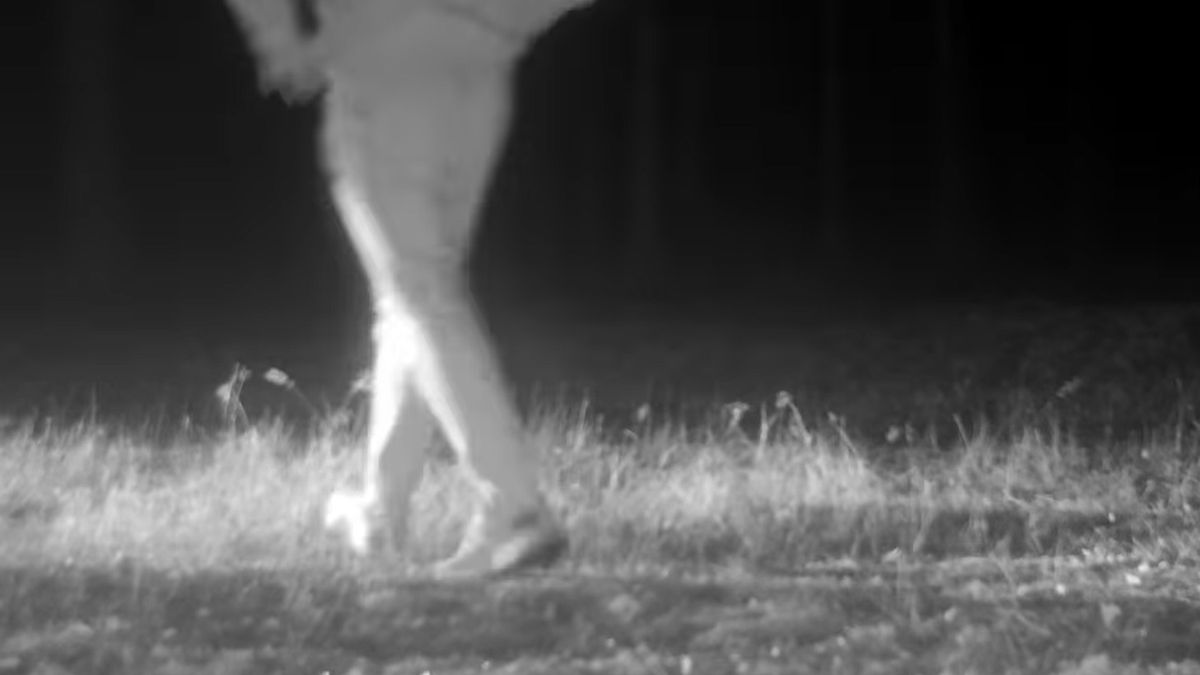 Fotopułapka przyłapała ludzi