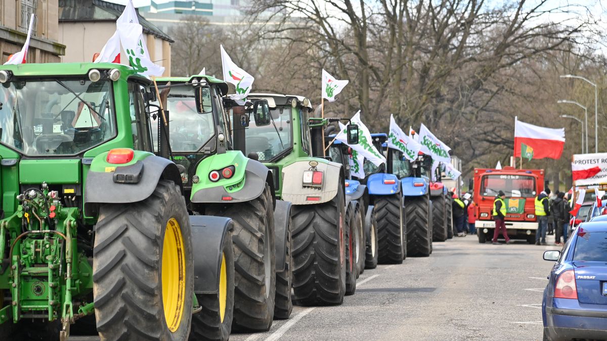 Szczecin, 27.03.2023. Przejazd kolumny ciągników w ramach protestu rolników ph. "Liczy się polska żywność" na ulicach Szczecina, 27 bm. W ramach kampanii rolnicy zaprosili mieszkańców miasta na ulicę Szczerbcową, aby rozmawiać z nimi m.in. na temat przyczyn wzrostu cen żywności w sklepach. (mb/amb) PAP/Marcin Bielecki