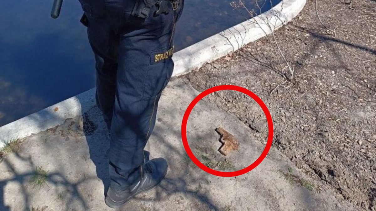 Odkrycie w Warszawie