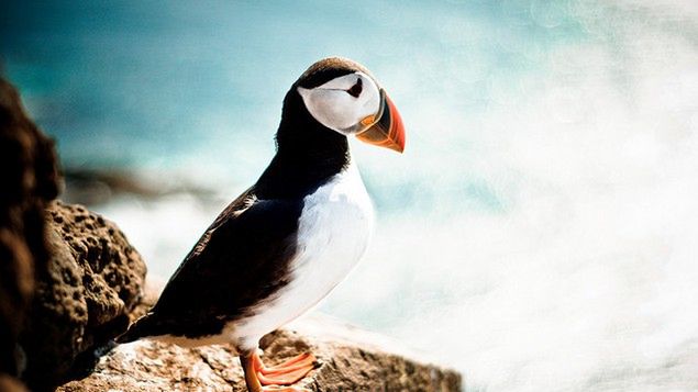 50 fotografii wykonanych klasycznym obiektywem 50 mm 1