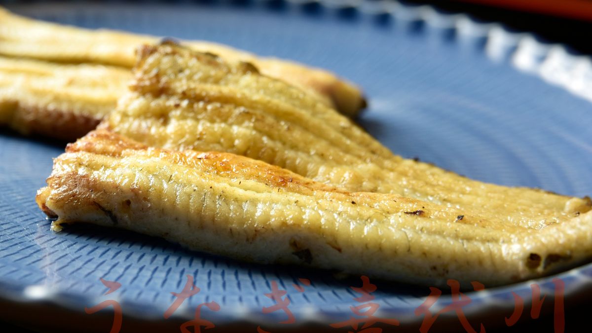 Węgorz - dlaczego warto od czasu do czasu po niego sięgać?