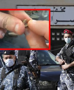 Znaleźli paczkę ze słonecznikiem. Osłupieli, gdy otworzyli łuski