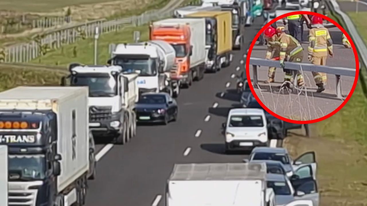 Gigantyczny korek na S7. Specjalnie wstrzymali ruch