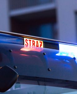 Kłęby dymu nad miastem. W akcji 52 strażaków