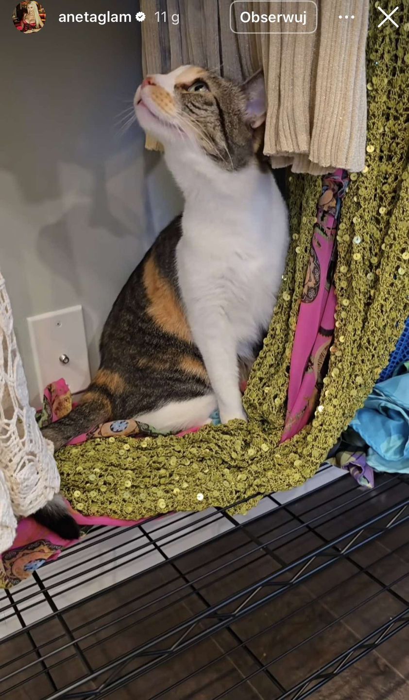 Tak urządziła się Aneta Glam