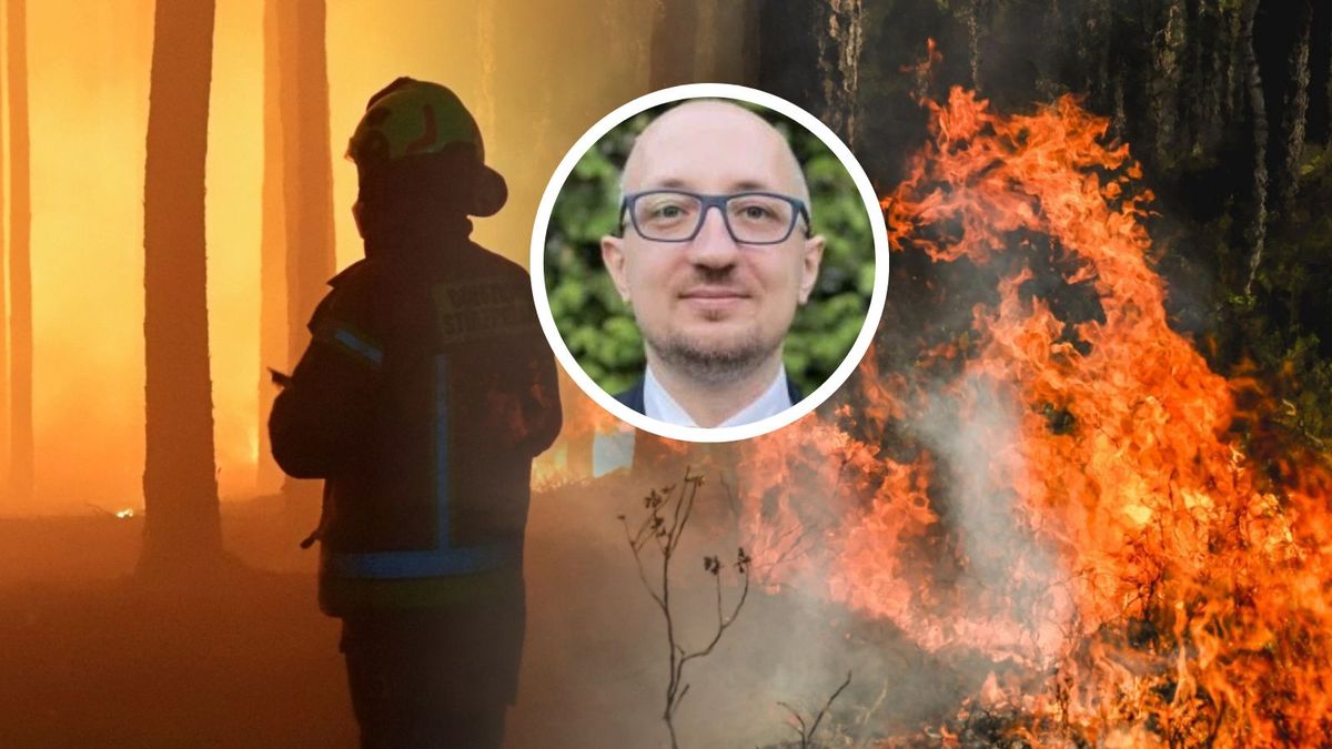 Pożary na Lubelszczyźnie. Dr Kamil Leziak mówi o ich skutkach