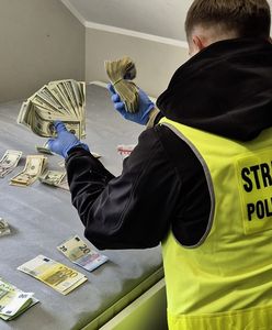 Ukraińska szajka rozbita przez służby. Zatrzymania w dwóch miastach