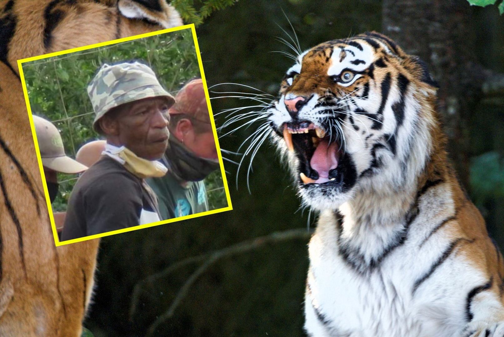 Dramatyczny incydent w zoo w Port Elizabeth. Tygrys zabił swojego opiekuna