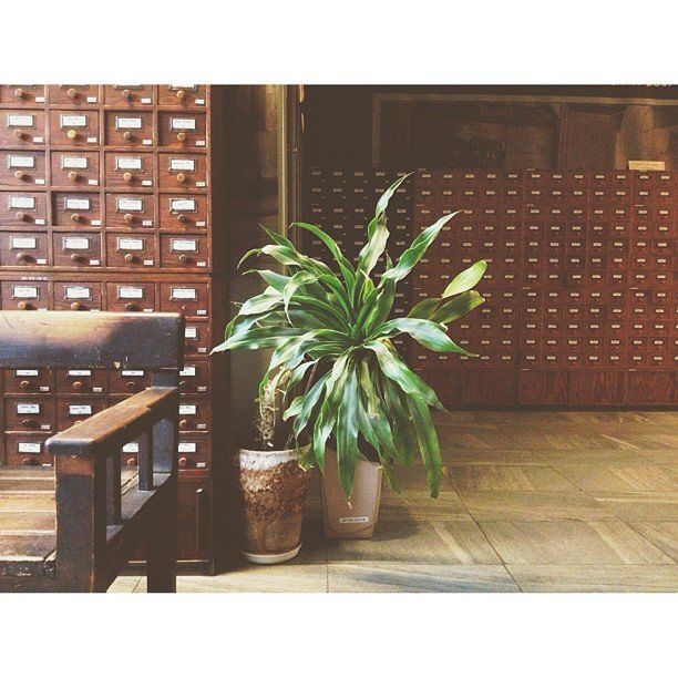 Fotograficzne inspiracje z Instagrama [cz. 1] 15