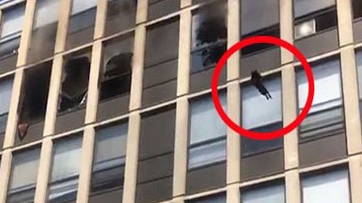 Świadkowie zdarzenia nie potrafili uwierzyć własnym oczom. Kot przeżył, mimo że skoczył aż z szóstego piętra