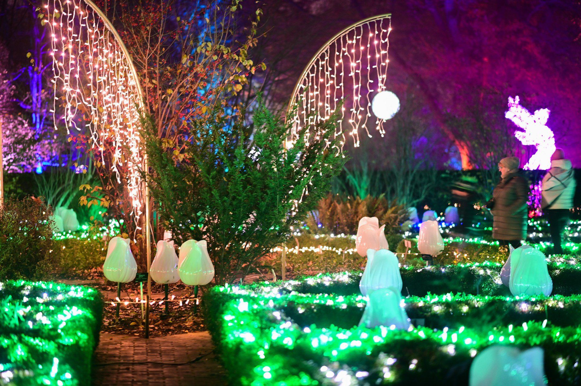 Magiczny Botaniczny powrócił w wielkim stylu