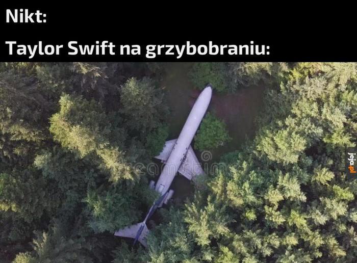 Memy o Taylor Swift (internet)