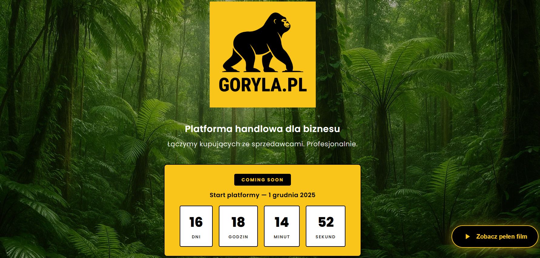 Tak obecnie prezentuje się Goryla.pl