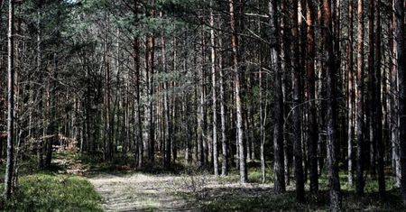 Nieoczekiwany zwrot ws. kontrowersyjnego projektu! To jednak nie...