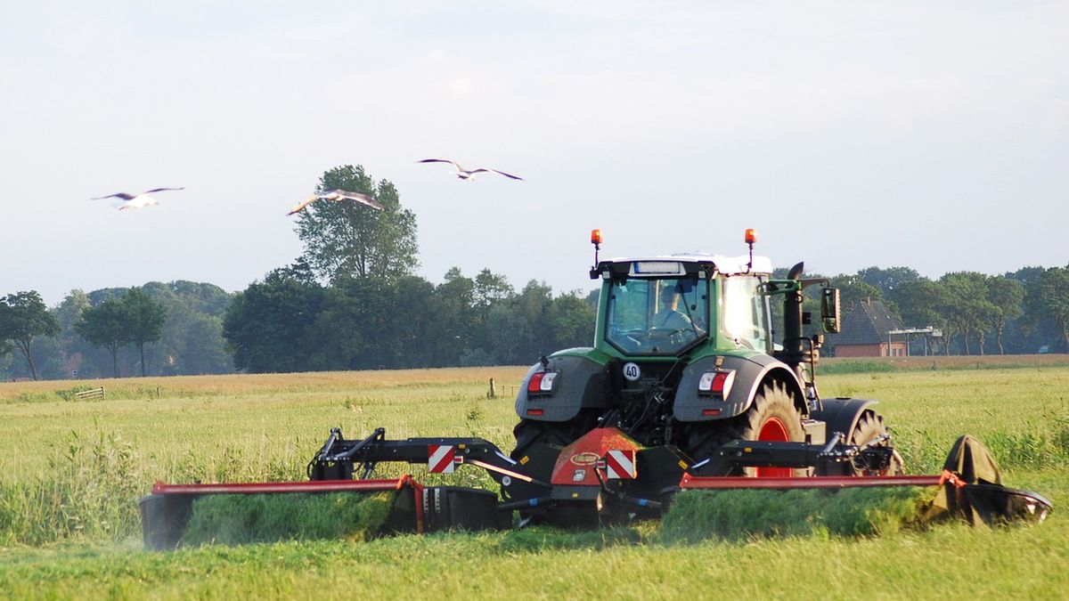 Kosił trawę na polu. Niemiec natrafił na ciało dziecka