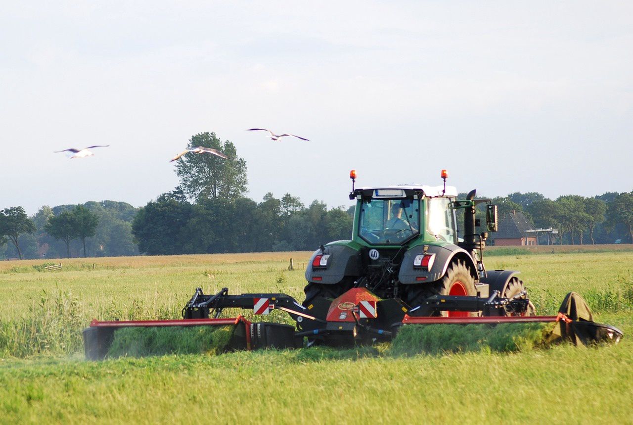 He was mowing the grass in the field. Niemiec came across the body of a child.