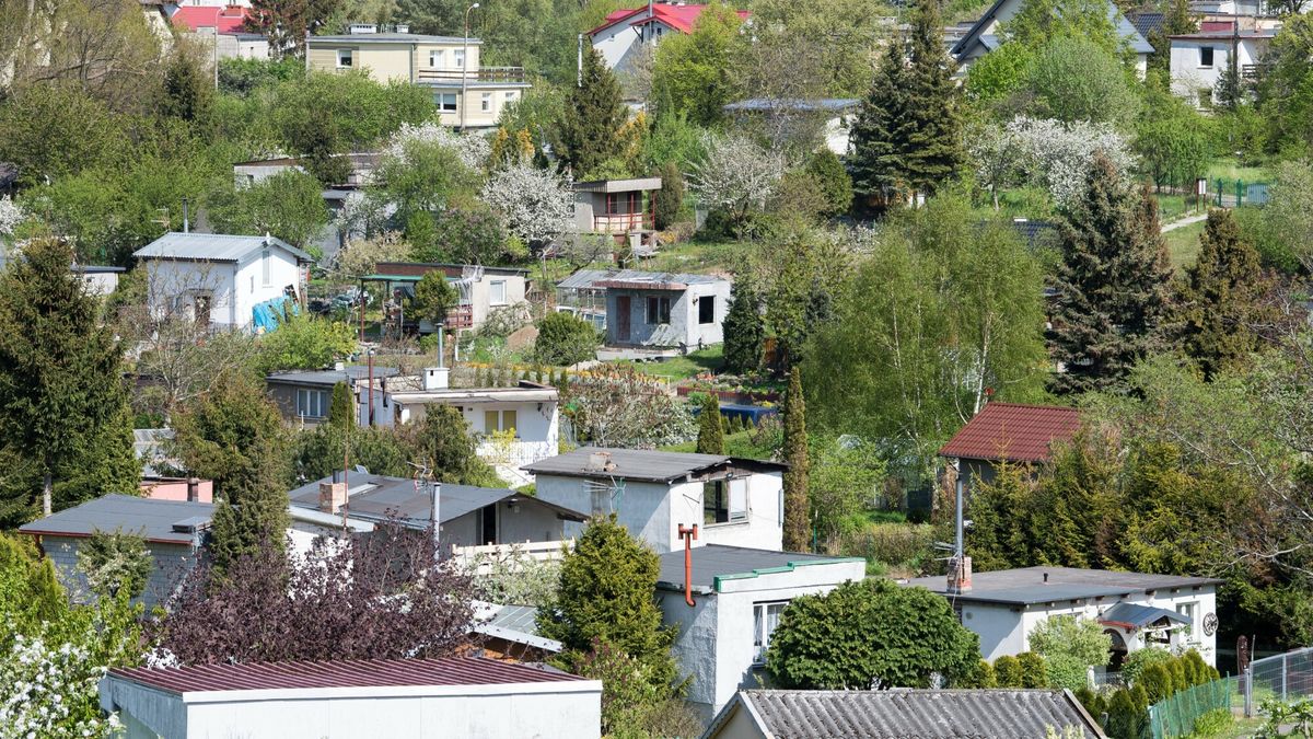 Podpis ministra uratował ogródki przed deweloperami? "Radykalna zmiana"