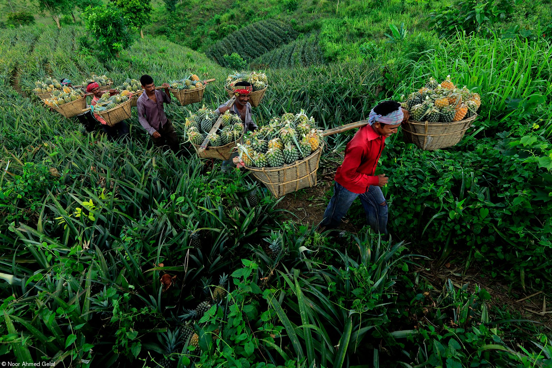 Najsmaczniejsze zdjęcia kulinarne 2019 roku. Zobacz, wyniki konkursu 6
