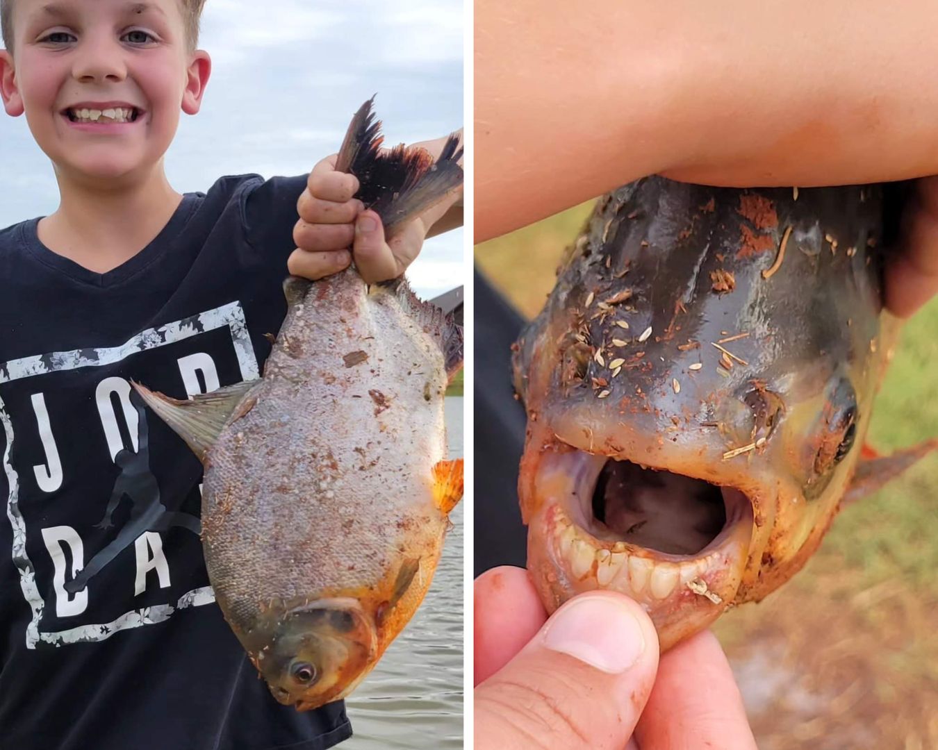 11-latek złowił rybę. Gdy zobaczył, co ma w pysku, zaczął krzyczeć