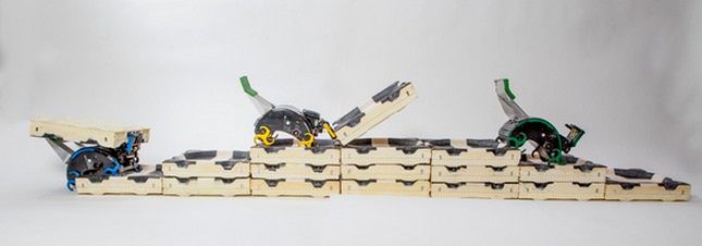 Roboty naśladują zachowanie termitów (Fot. Harvard.edu)