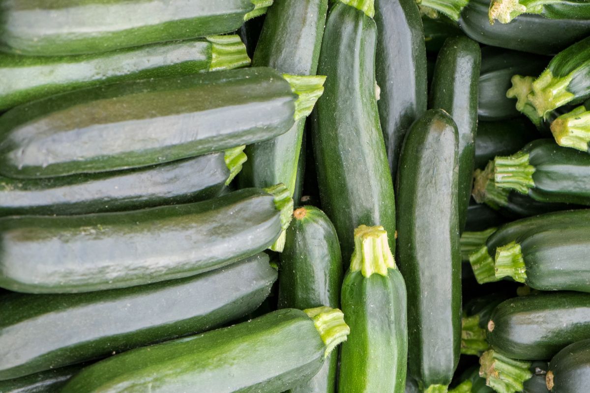 Courgette stew is an excellent one-pot dish