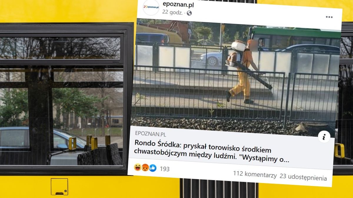 poznań