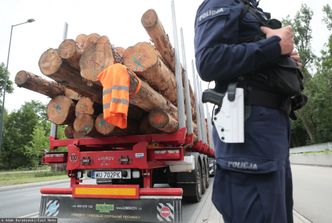 Zmiany w spalaniu drewna. Branża: będzie tak, jak jest