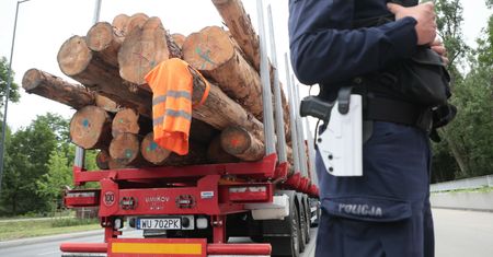 Zmiany w spalaniu drewna. Branża: będzie tak, jak jest