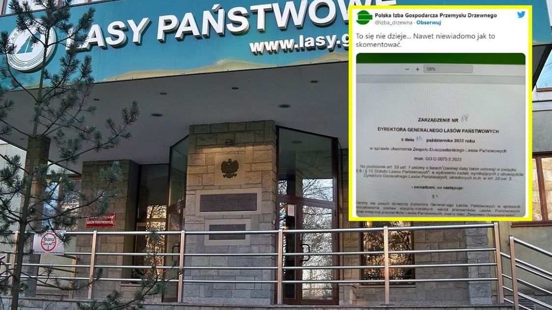 Dyrektor Lasów Państwowych wydał zaskakujące zarządzenie 