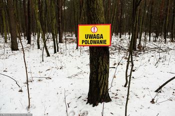 Jest podejrzany o zabójstwo. Wyszedł na święta z aresztu