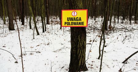 Jest podejrzany o zabójstwo. Wyszedł na święta z aresztu