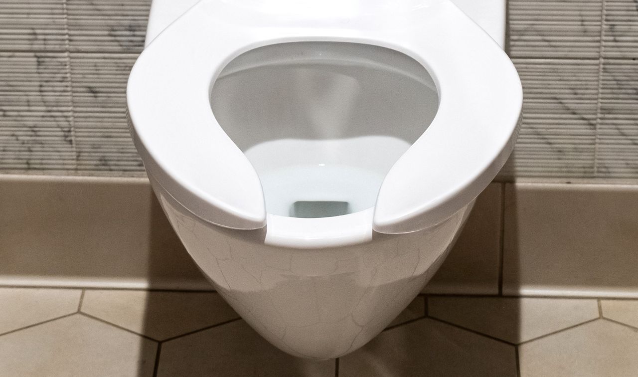 Nie bez powodu deski sedesowe w toaletach publicznych mają nietypowy kształt 