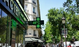 Fala upałów w Europie. Francja odnotowała ponad 2 tys. zgonów w tydzień