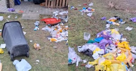 Nocne odwiedziny. Leśnicy pokazali skutki. "Rozerwał siatkę"
