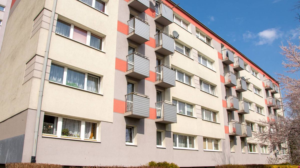 Piwnice i komórki lokatorskie w bloku mieszkalnym