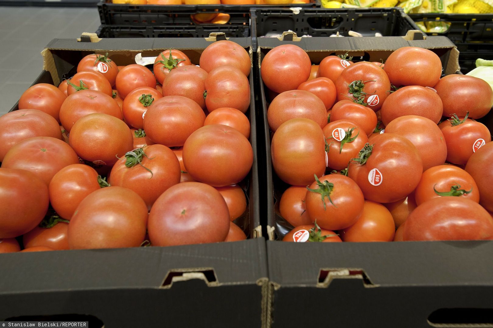 Przebadali pomidory z popularnych marketów. Oto, co w nich znaleźli