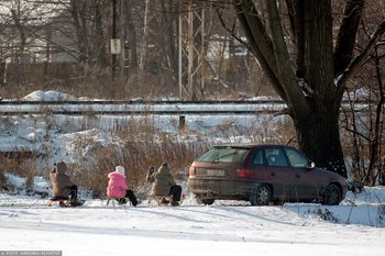 Planujesz kulig? Lepiej odpuścić ten pomysł. Łatwo o mandat